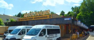 Автостанция «Новоясеневская»